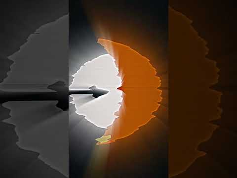 Gombe Chimpanzee War #shorts #edit #zoo #chimpanzee